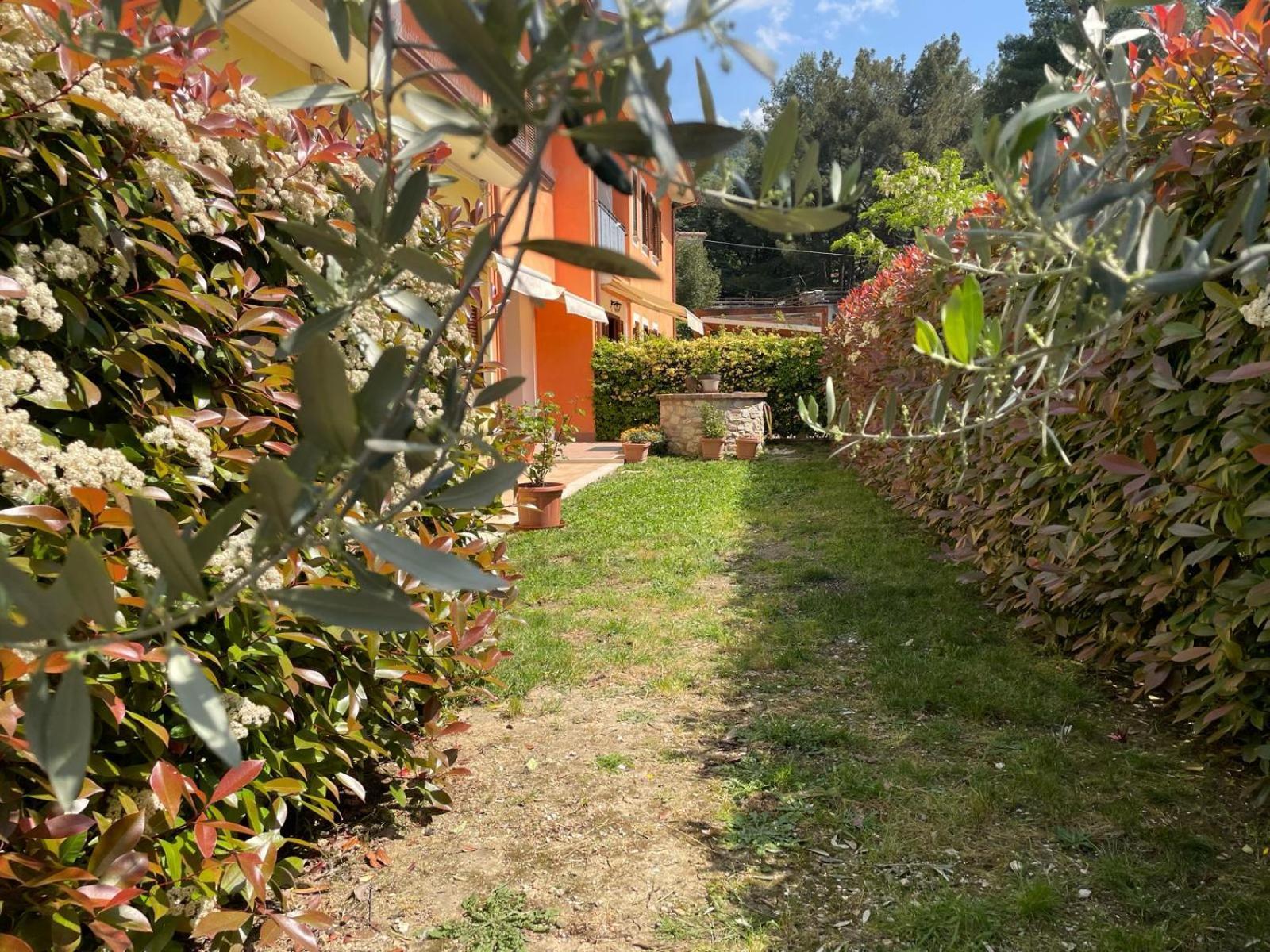 Casa Achille Hotel Spello Eksteriør billede